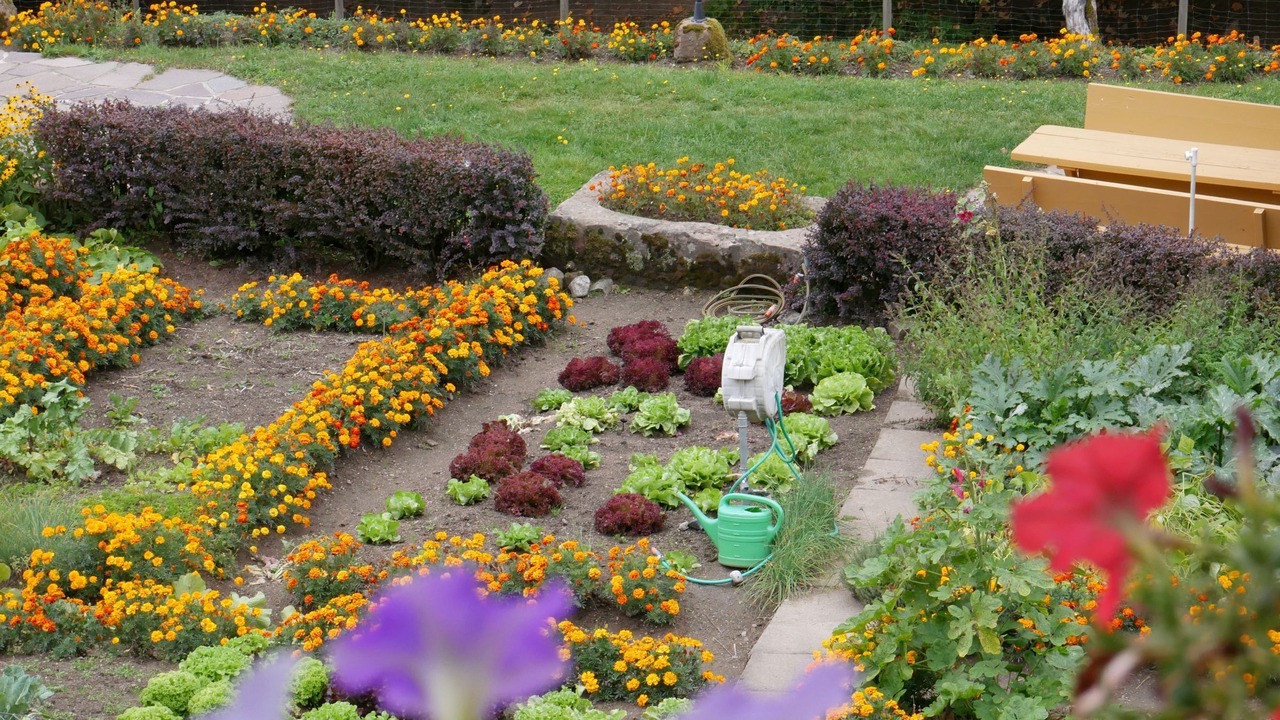 Photo of Outdoor in Wolfach - Saint Roman