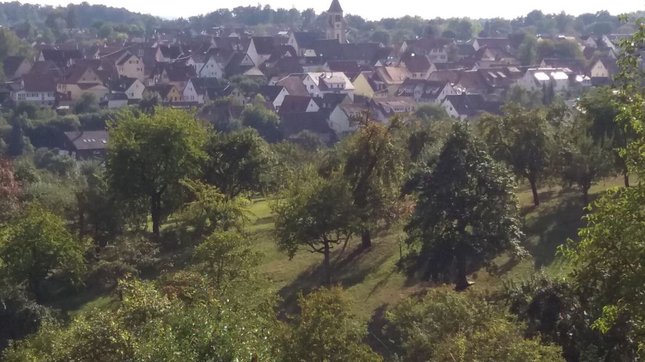 Photo of Others in Hagelloch