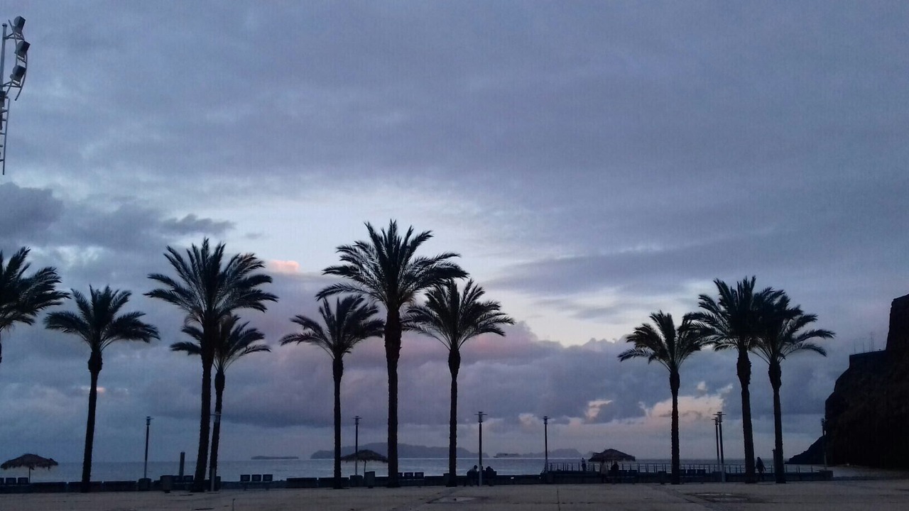 Photo of Others in Machico