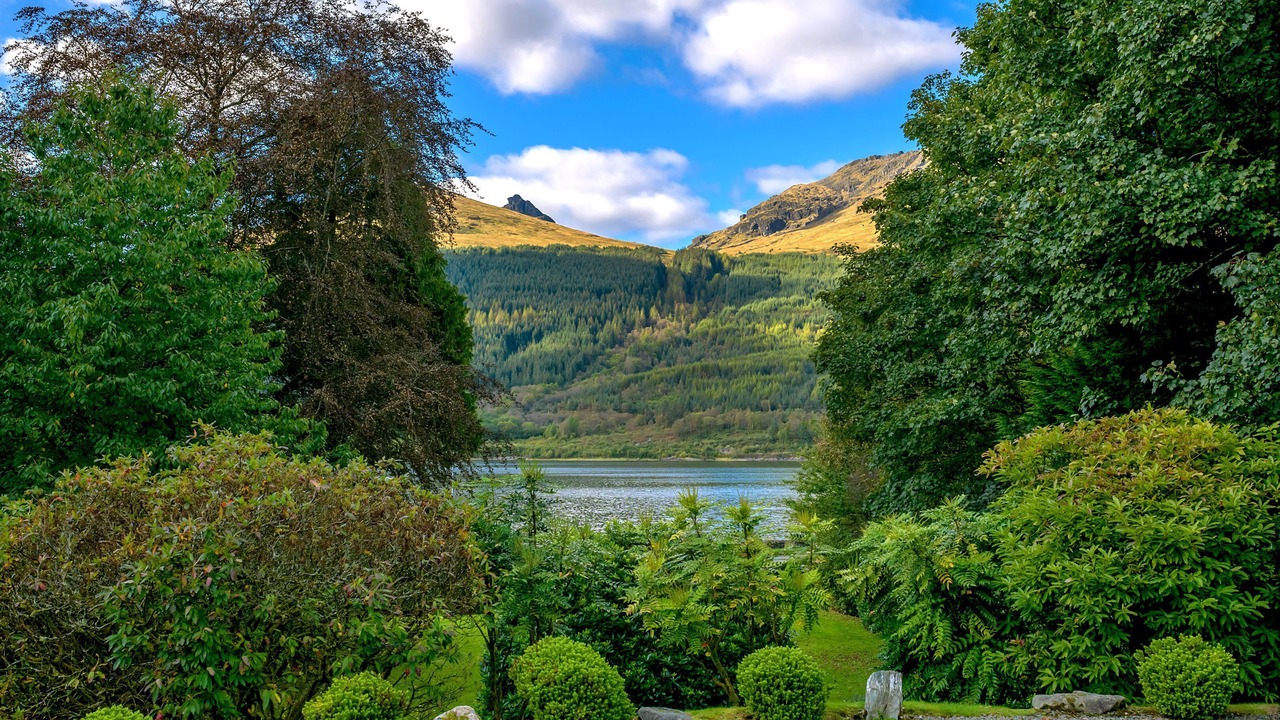 Photo of Others in Arrochar
