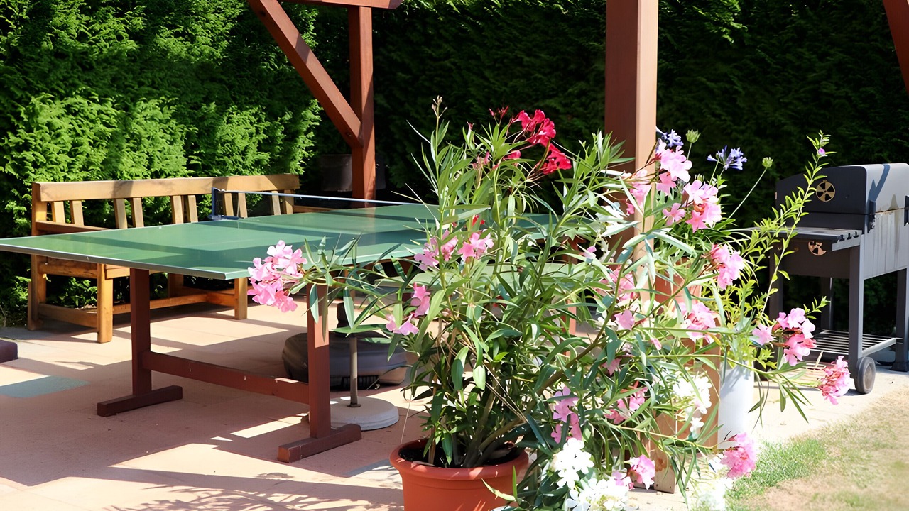 Photo of Outdoor in Freiamt