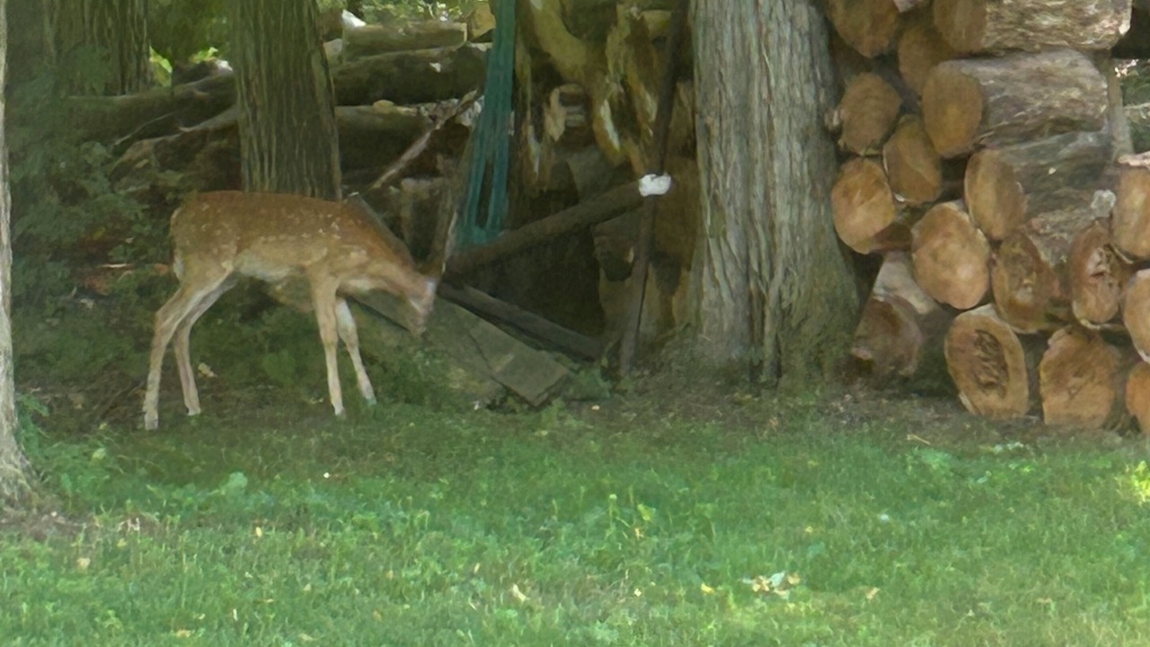 Photo of Others in Fenton