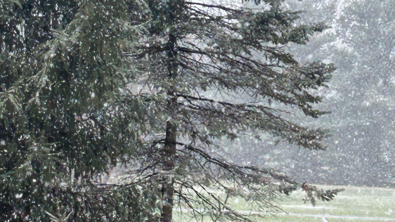 Photo of Others in Fenton