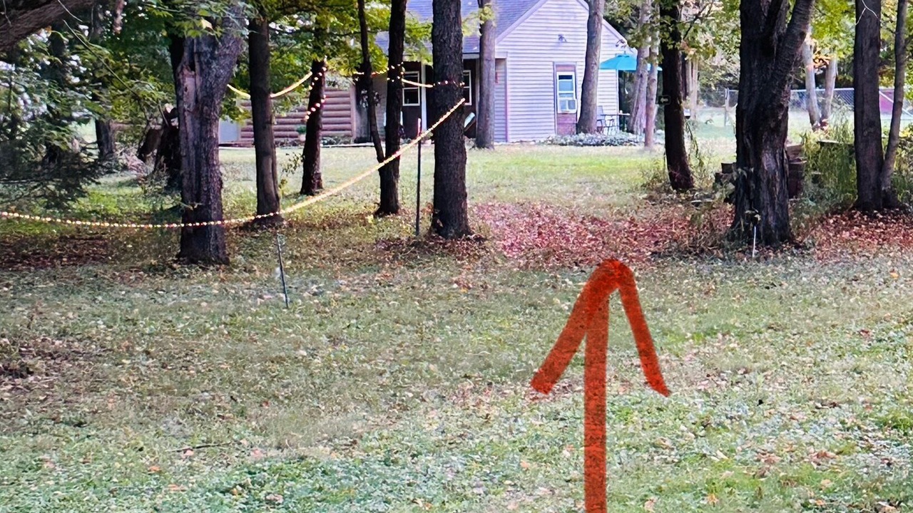 Photo of Others in Fenton