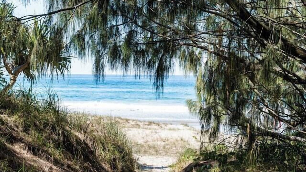 Photo of Others in Castaways Beach