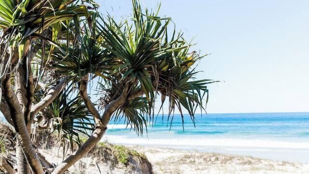 Photo of Others in Castaways Beach