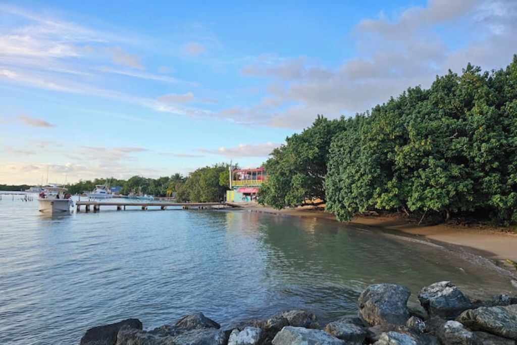Photo of Others in Cabo Rojo