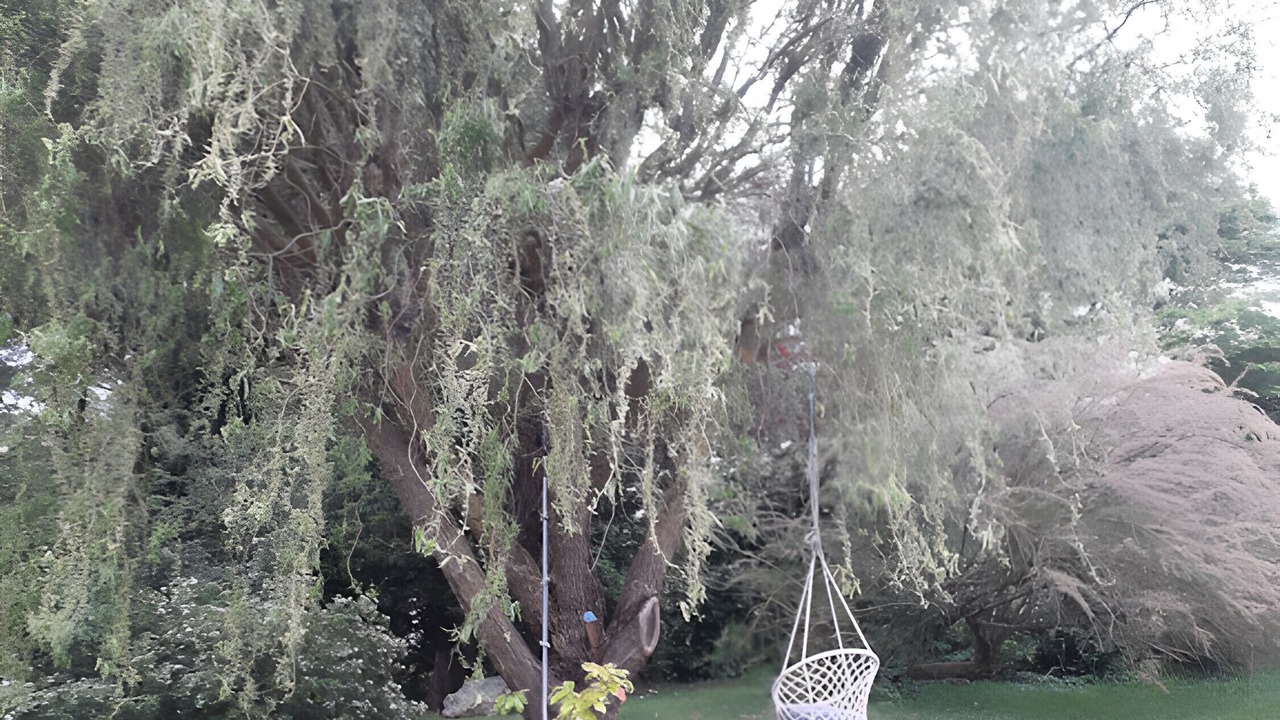 Photo of Outdoor in Mer