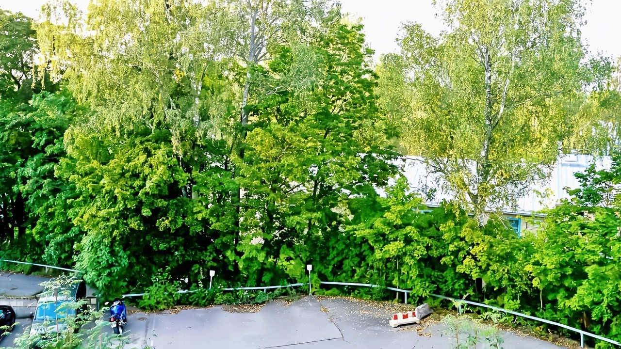Photo of Outdoor in Koillinen District