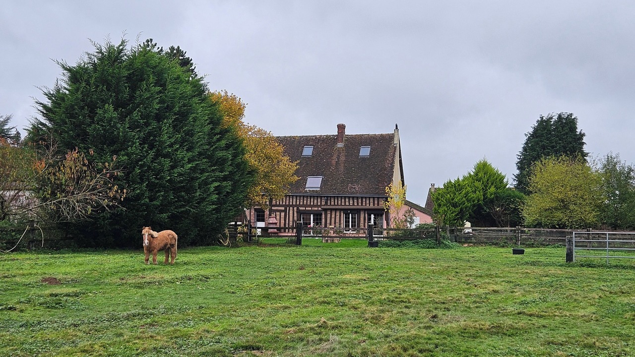 Photo of Outdoor in Friaize