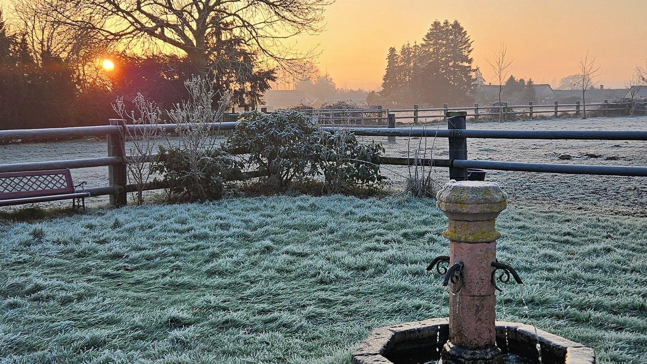 Photo of Outdoor in Friaize