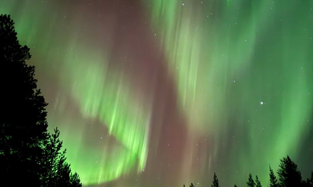 Photo of Others in Rovaniemi