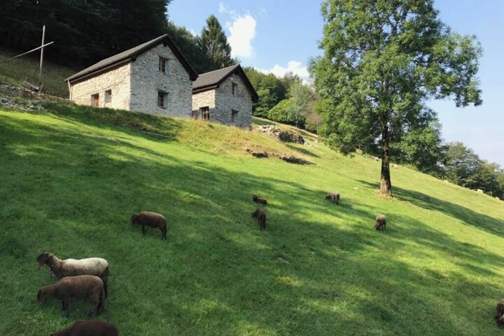 Photo of Outdoor in Centovalli