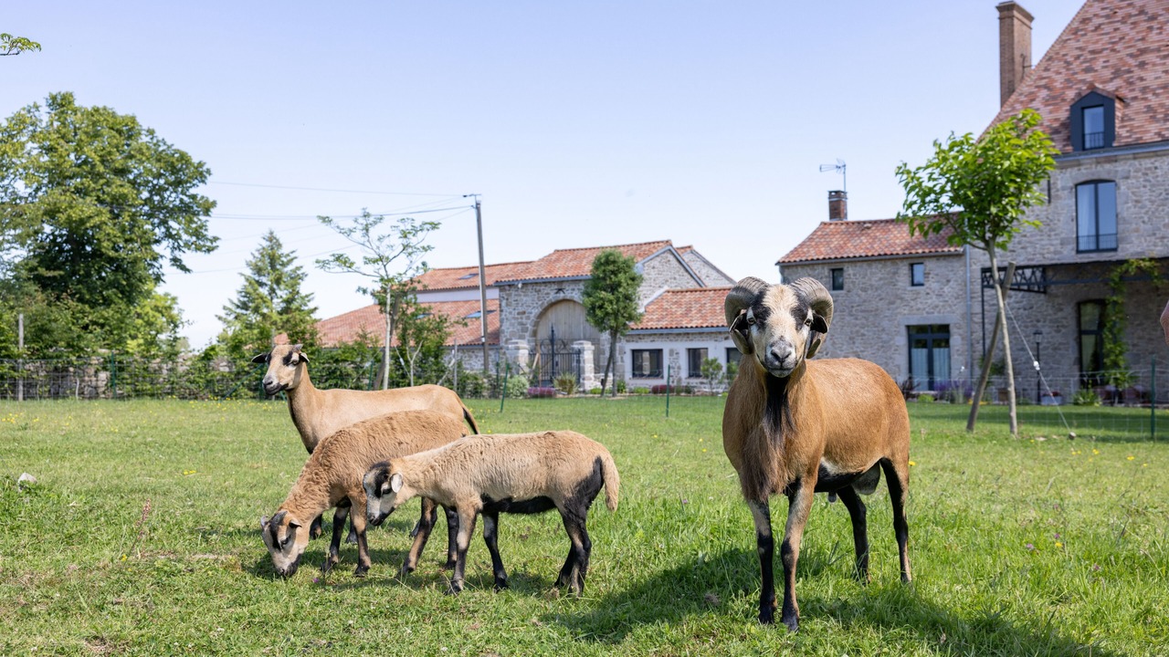 Photo of Others in Saint-Christophe-du-Bois