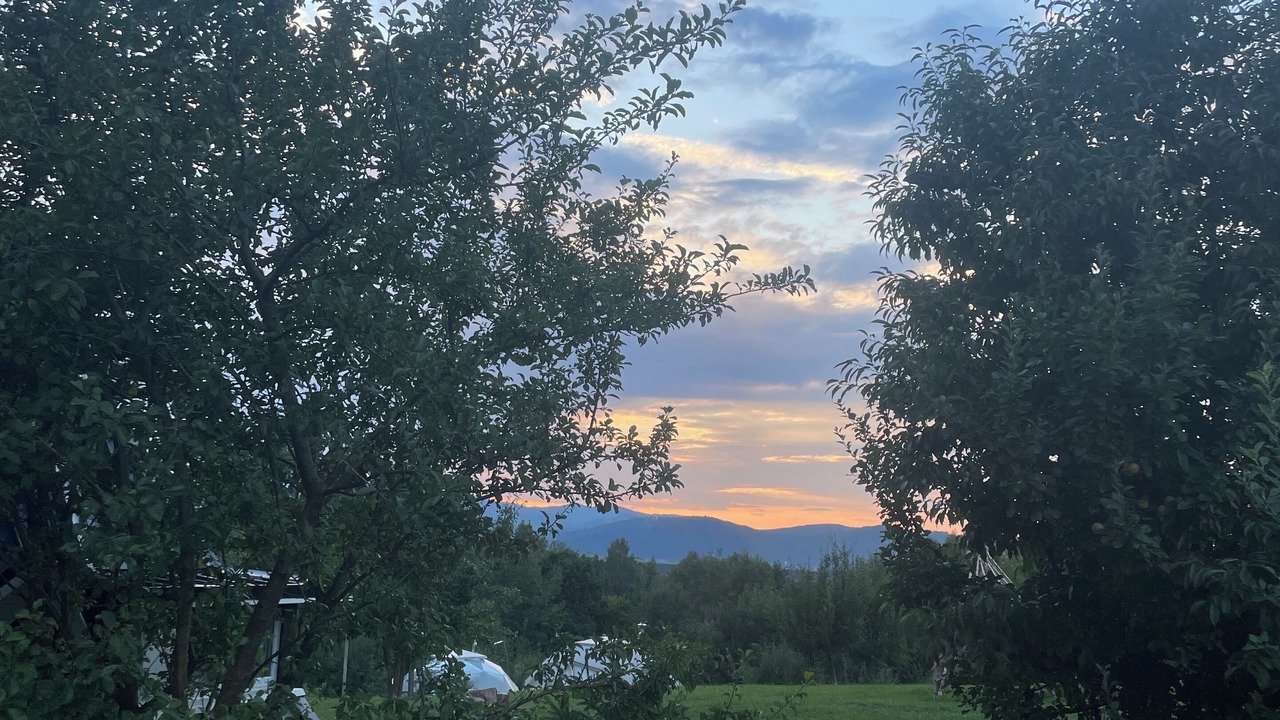 Photo of Outdoor in Bran