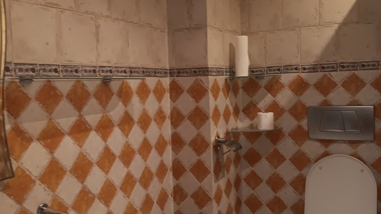 Photo of Bathroom in Lasarte-Oria