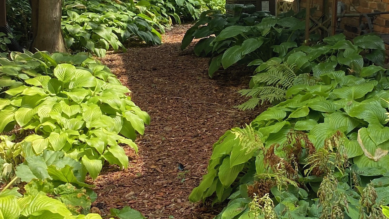 Photo of Outdoor in Harwich