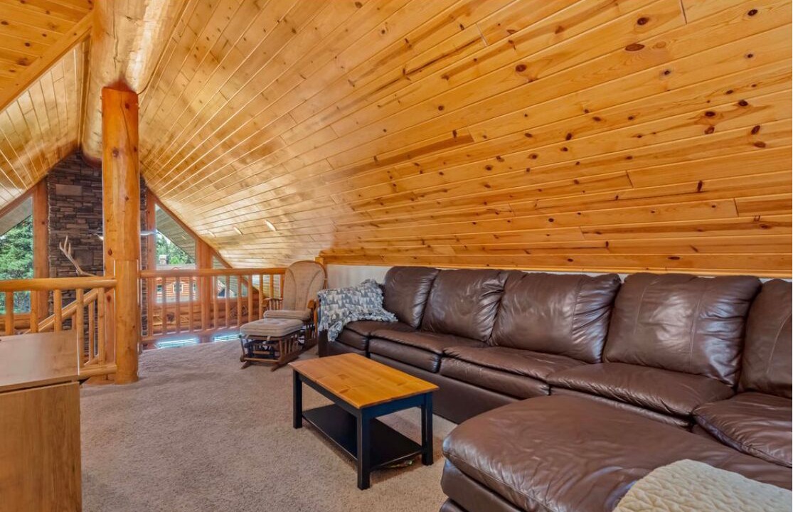 Photo of Livingroom in McCall