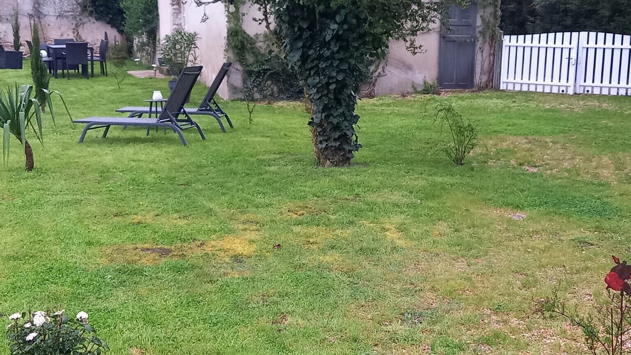 Photo of Outdoor in Gy-en-Sologne