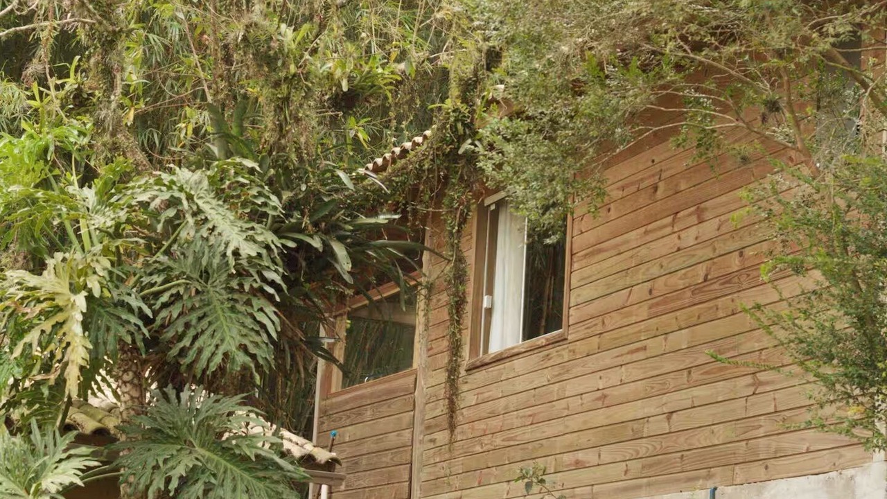 Photo of Outdoor in Praia do Rosa