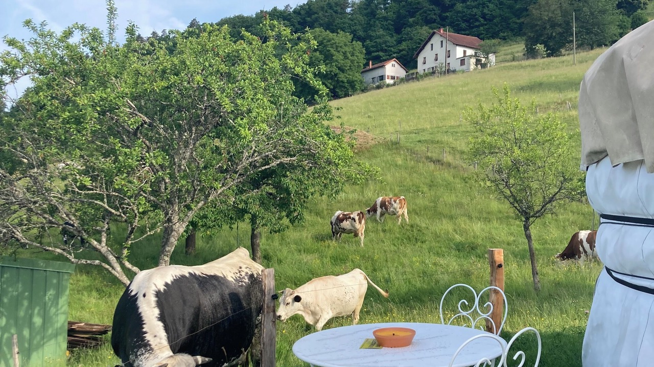 Photo of Outdoor in Ramonchamp