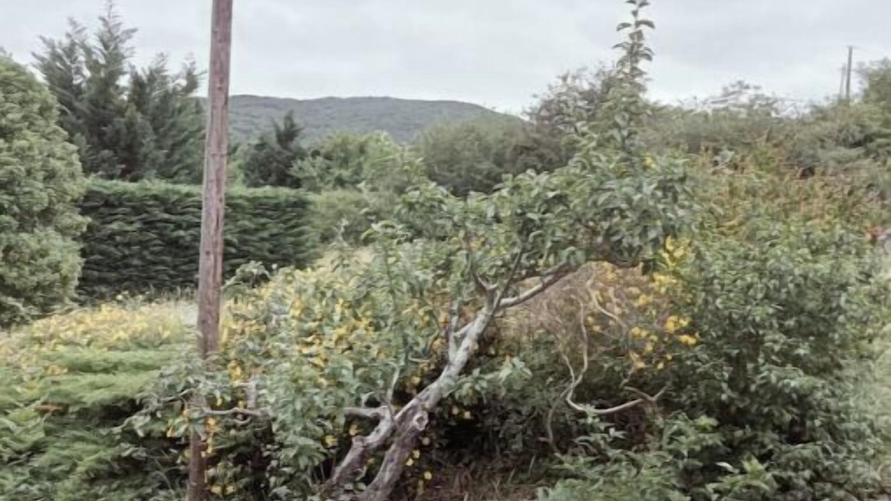 Photo of Outdoor in Bugarach