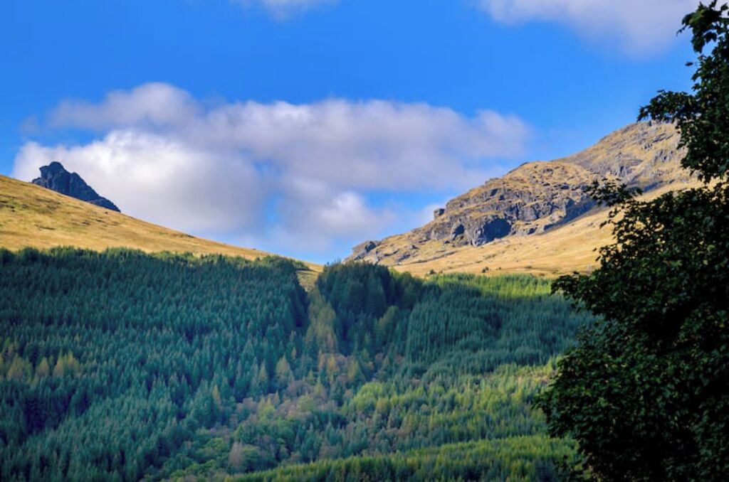 Photo of Others in Arrochar