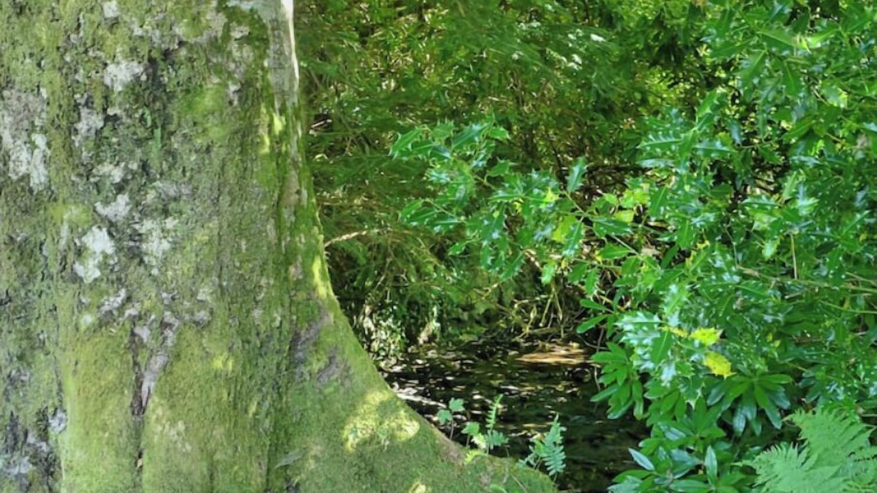 Photo of Others in Arrochar