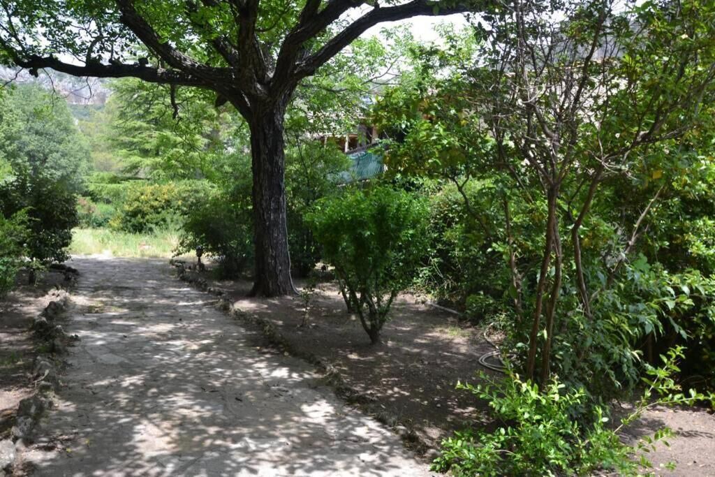 Photo of Outdoor in Saint-Guilhem-le-Desert