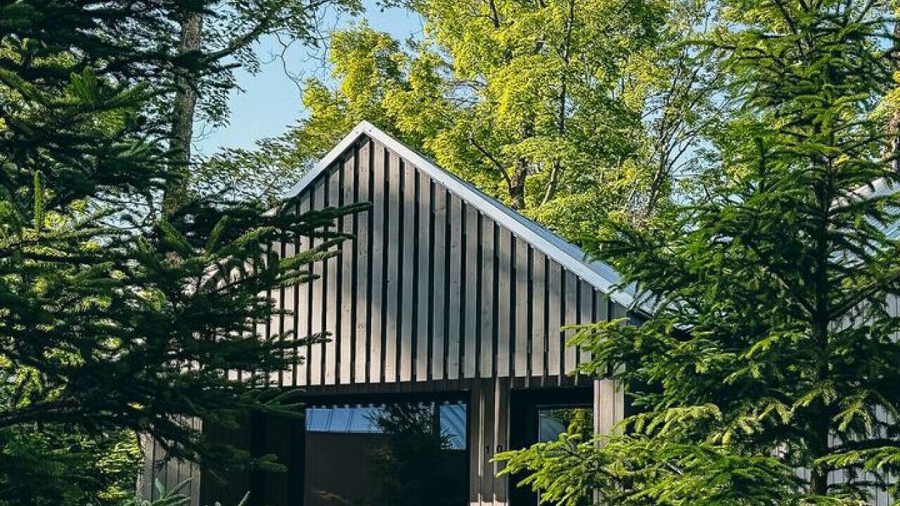 Photo of Outdoor in Algonquin Highlands