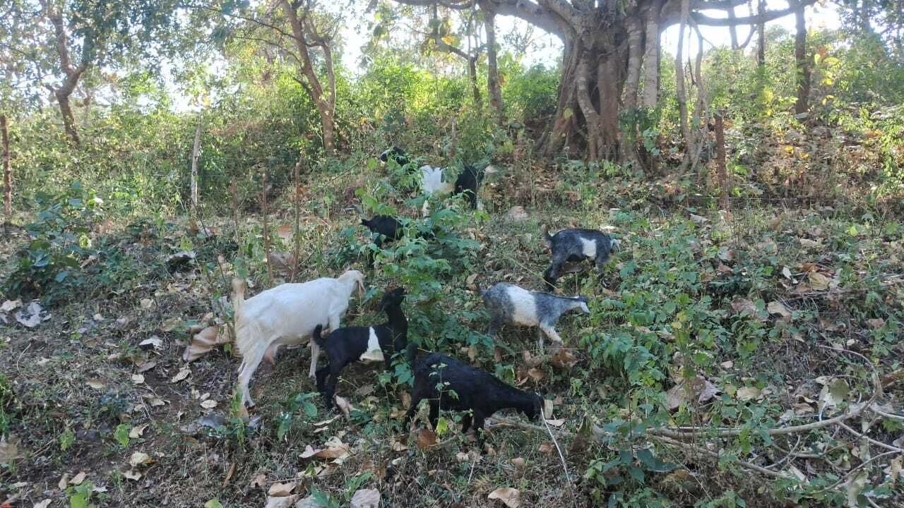 Photo of Others in Mannarkkad