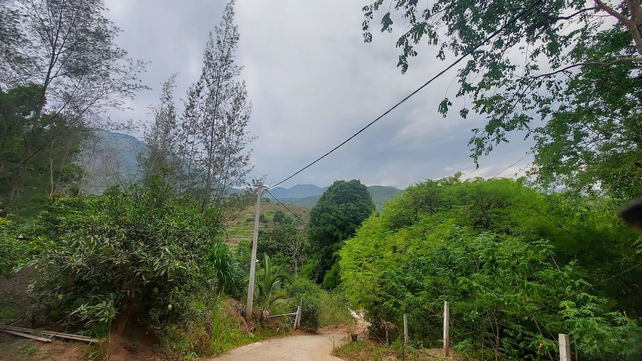 Photo of Others in Mannarkkad