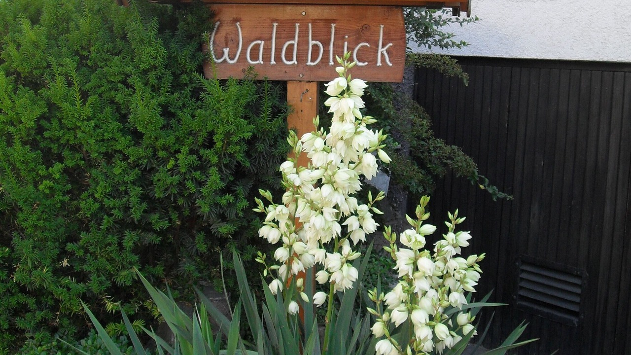 Photo of Outdoor in Simonswald