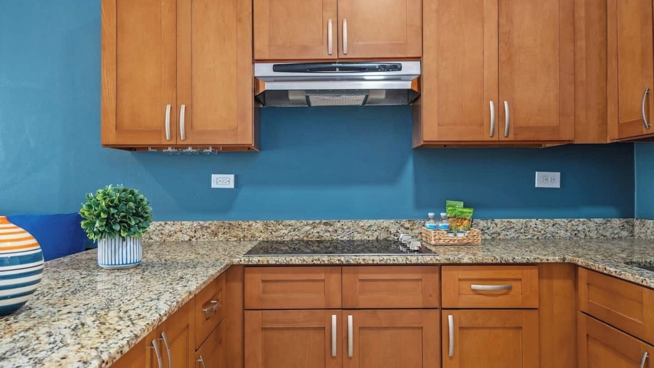 Photo of Kitchen in Eleanor Roosevelt