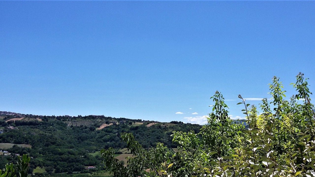 Photo of Others in Rosora