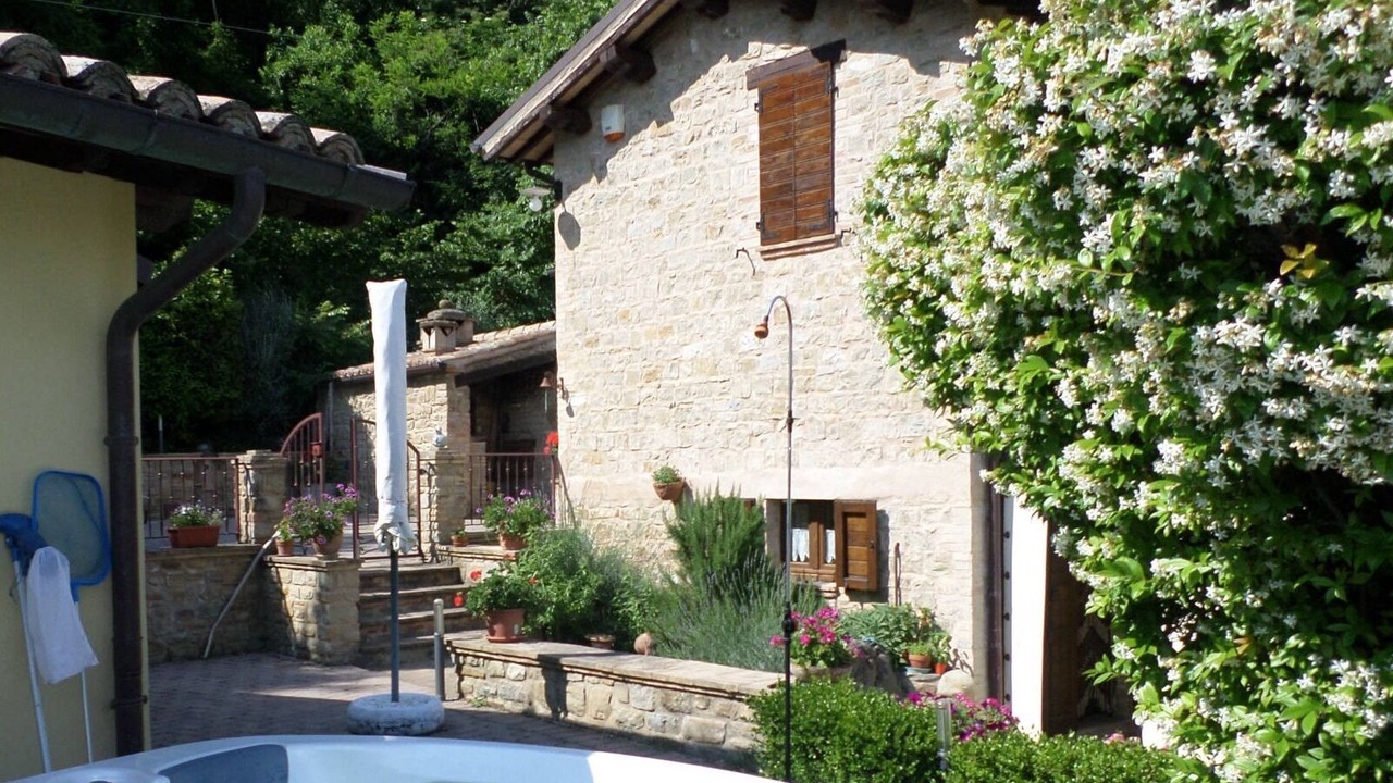 Photo of Outdoor in Rosora