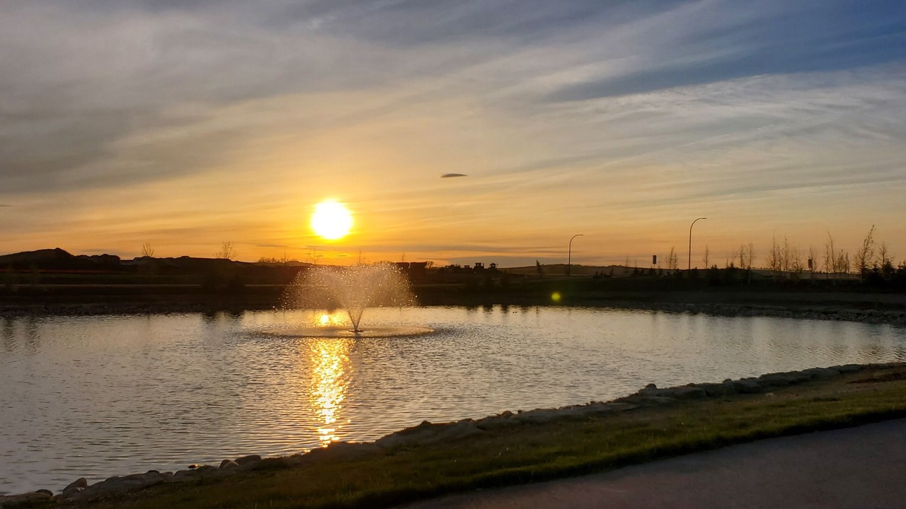 Photo of Others in Northwest Calgary