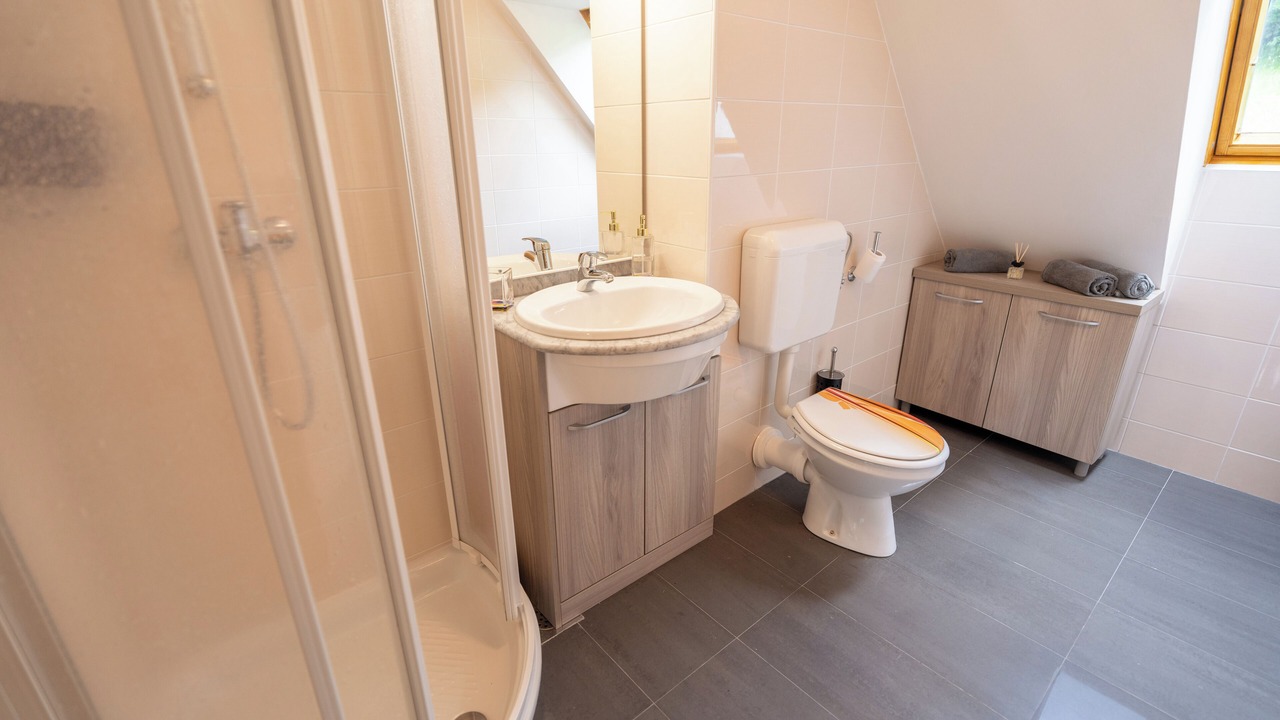 Photo of Bathroom in Log pod Mangartom
