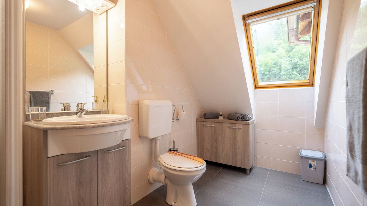 Photo of Bathroom in Log pod Mangartom