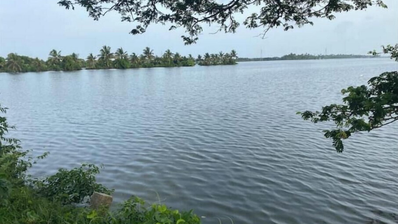 Photo of Others in Kumbalam