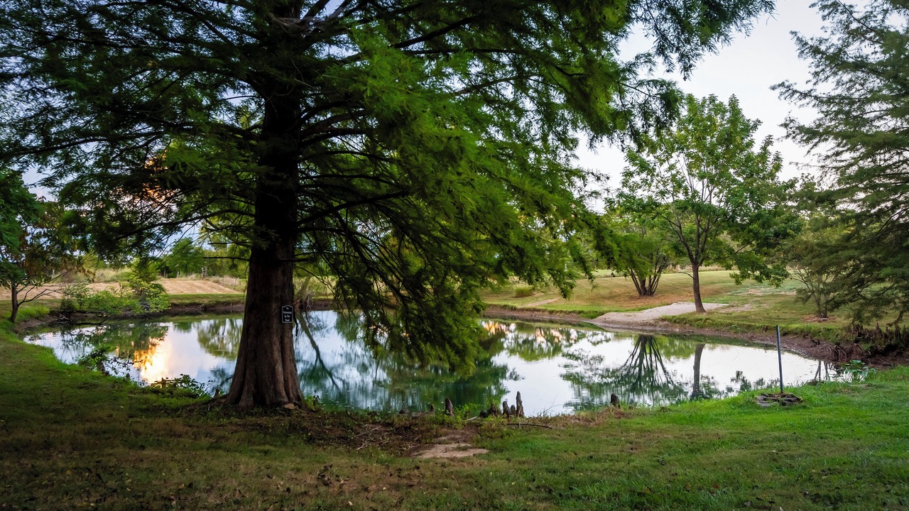 Photo of Others in Wolf Creek