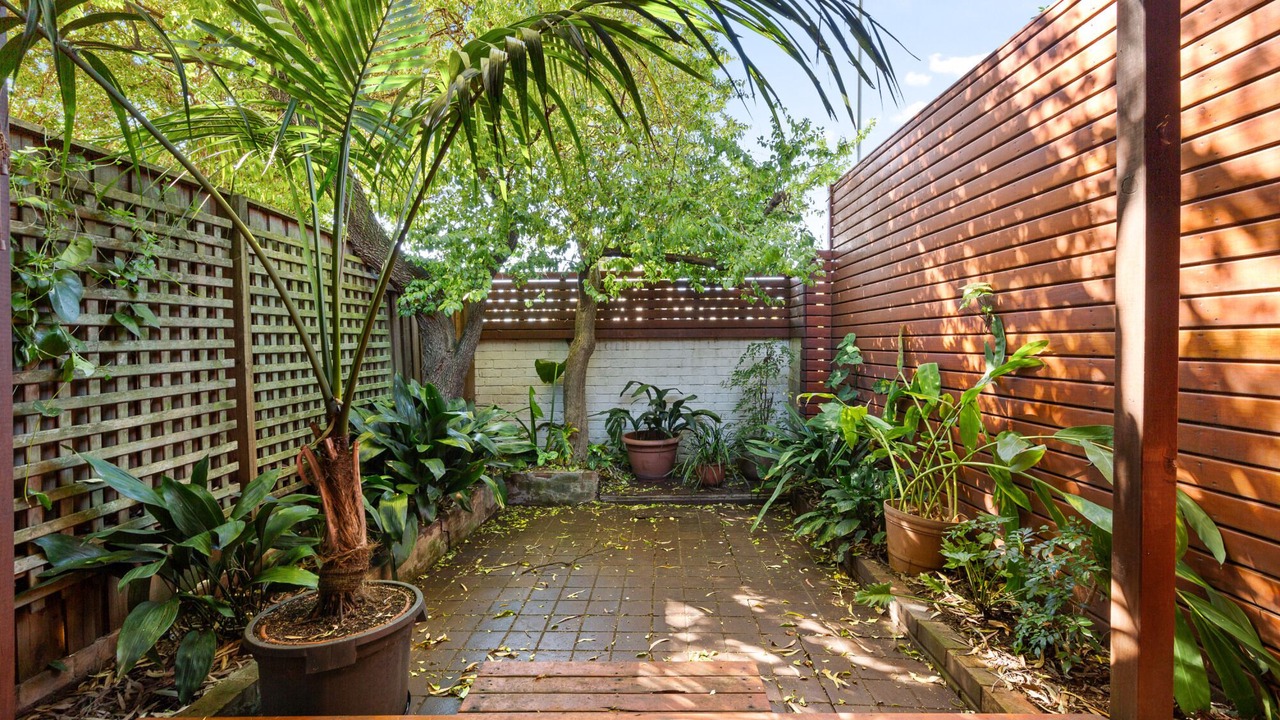 Photo of Others in North Sydney