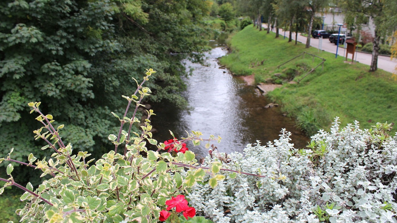 Photo of Outdoor in Bad Liebenzell