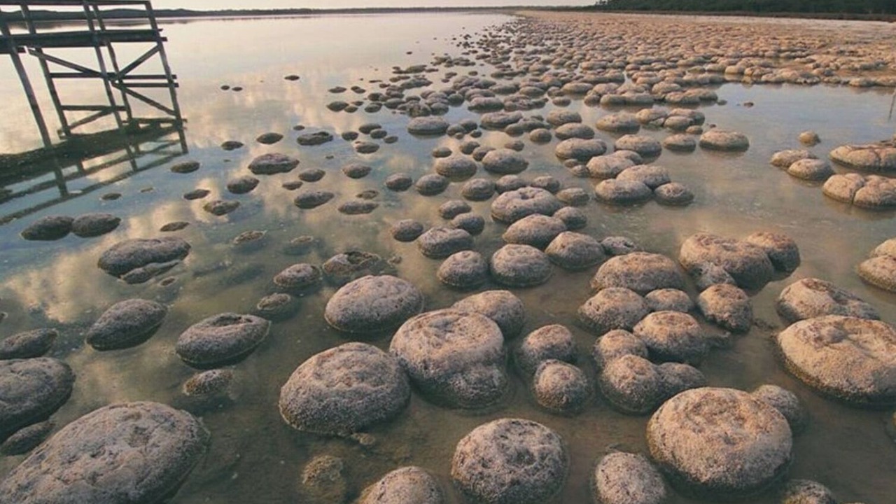 Photo of Others in Preston Beach