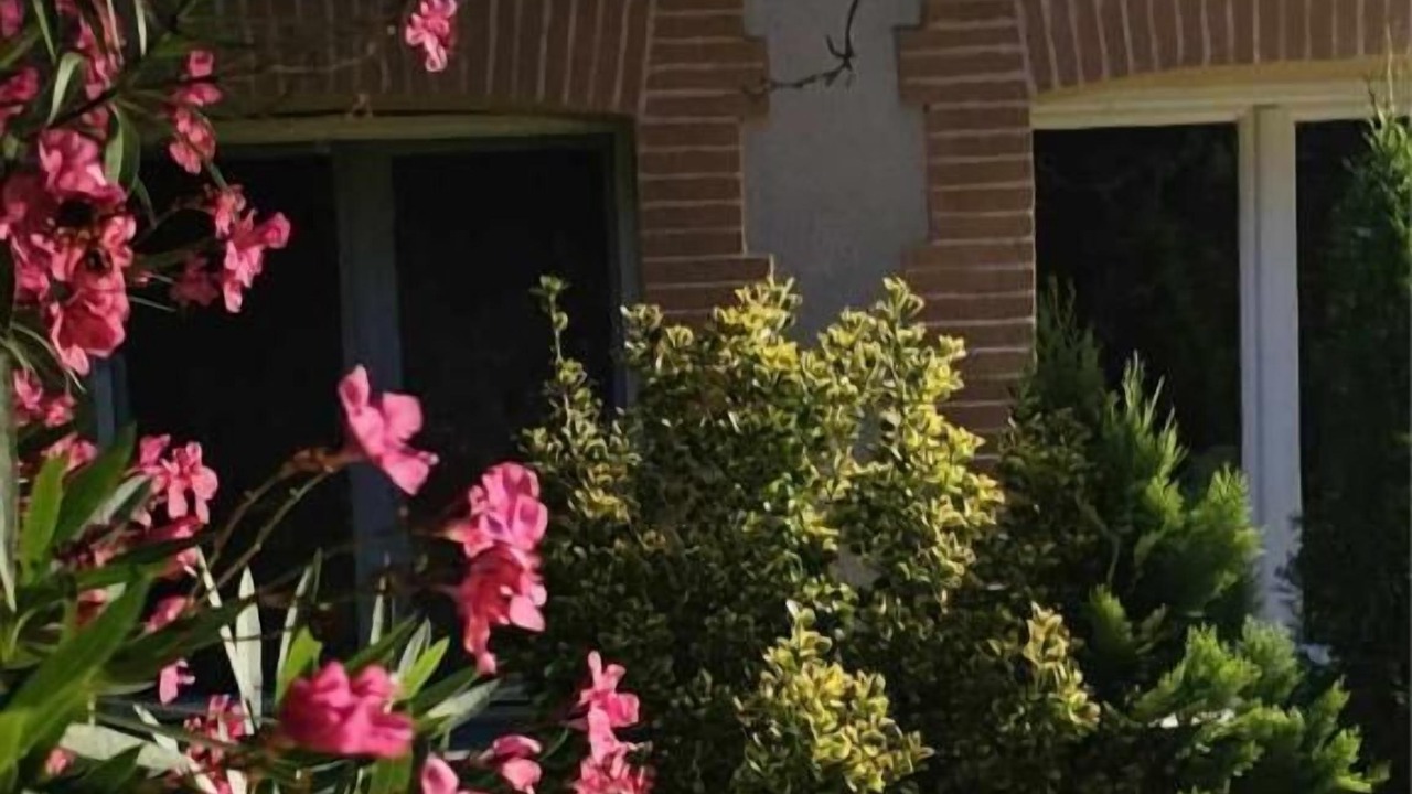 Photo of Outdoor in Saint-Felix-Lauragais