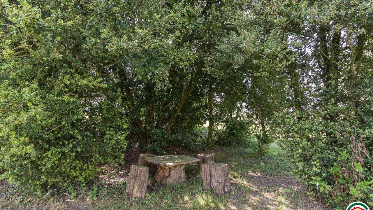 Photo of Outdoor in Verfeil