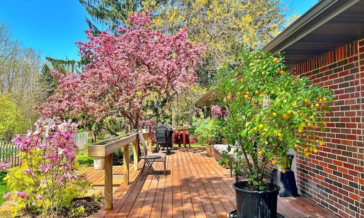 Photo of Patio Balcony in Westside Connection