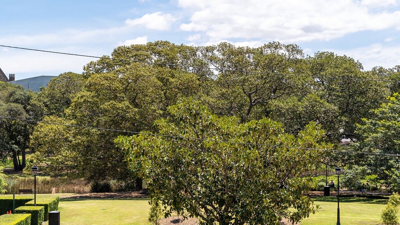 Photo of Outdoor in Chippendale