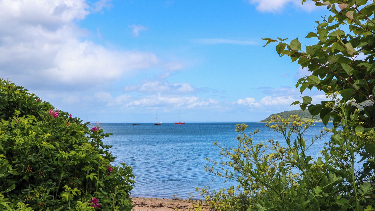 Photo of Others in Lamlash