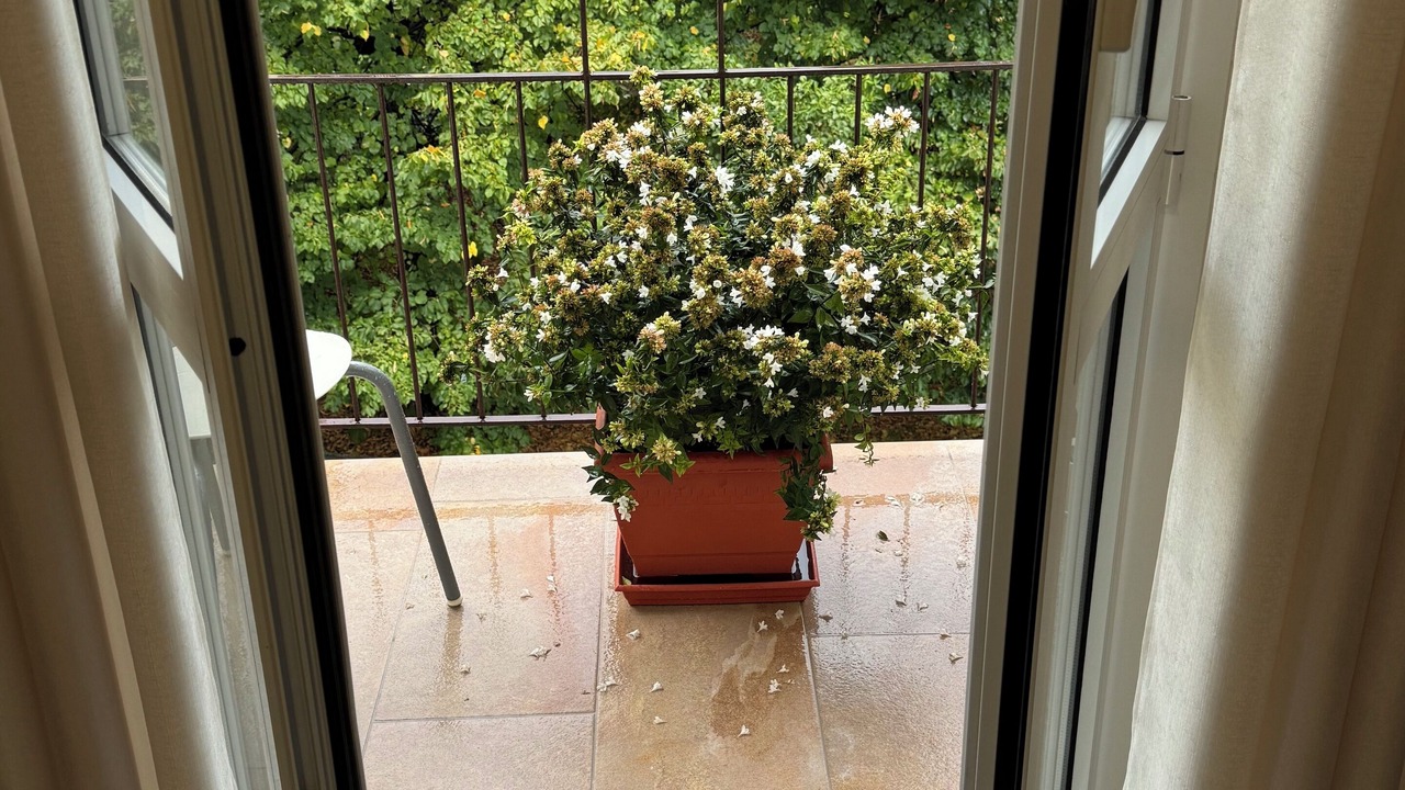 Photo of Others in Borgo Roma
